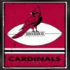 Trends International NFL Arizona Cardinals - Retro Logo 15 Wall Poster, 22.4L x 14.7W, Black Framed Version view 1