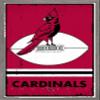 Trends International NFL Arizona Cardinals - Retro Logo 15 Wall Poster, 22.4L x 14.7W, Barnwood Framed Version view 1