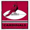 Trends International NFL Arizona Cardinals - Retro Logo 15 Wall Poster, 22.4L x 14.7W, White Framed Version view 1
