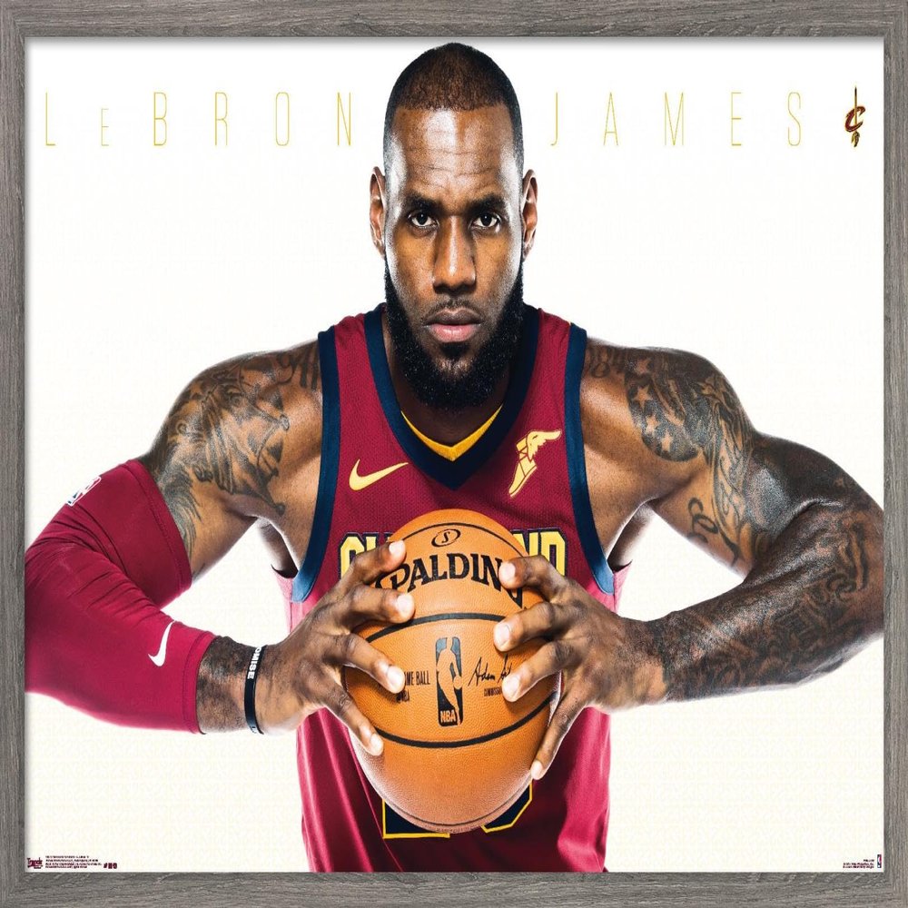 Trends International NBA Cleveland Cavaliers - Lebron James Wall Poster, 14.725" x 22.375", Barnwood Framed Version