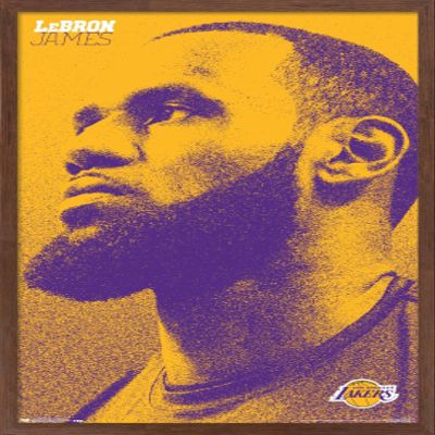 Trends International NBA Los Angeles Lakers - Lebron James 18 Wall Poster, 14.725" x 22.375", Mahogany Framed Version