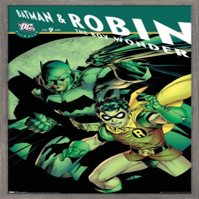 Trends International DC Comics - Batman and Robin The Boy Wonder Wall Poster, 14.725" x 22.375", Barnwood Framed Version