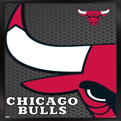 Trends International NBA Chicago Bulls - Logo 14 Wall Poster, 14.725" x 22.375", Black Framed Version