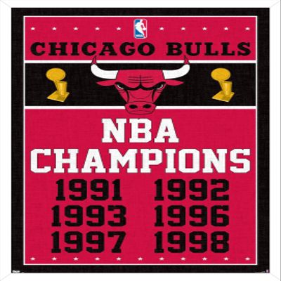 Trends International NBA Chicago Bulls - Champions 13 Wall Poster, 14.725" x 22.375", White Framed Version
