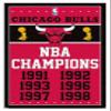 Trends International NBA Chicago Bulls - Champions 13 Wall Poster, 14.725" x 22.375", White Framed Version view 1