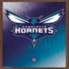 Trends International NBA Charlotte Hornets - Logo 14 Wall Poster, 14.725" x 22.375", Mahogany Framed Version view 1