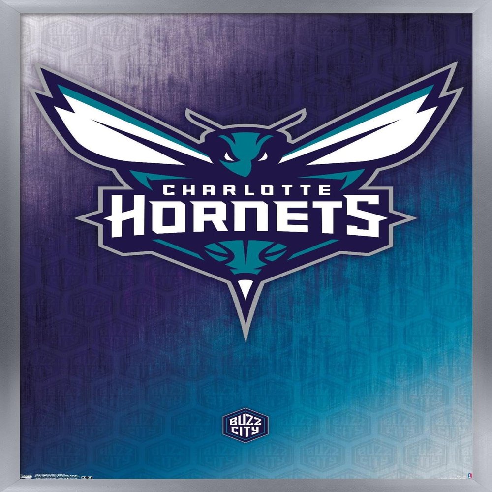 Trends International NBA Charlotte Hornets - Logo 14 Wall Poster, 14.725" x 22.375", Silver Framed Version