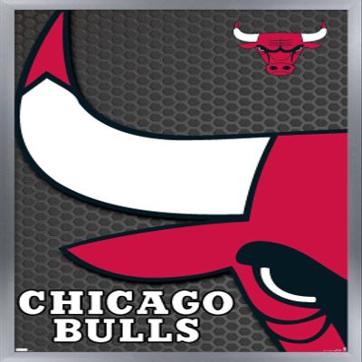 Trends International NBA Chicago Bulls - Logo 14 Wall Poster, 14.725" x 22.375", Silver Framed Version