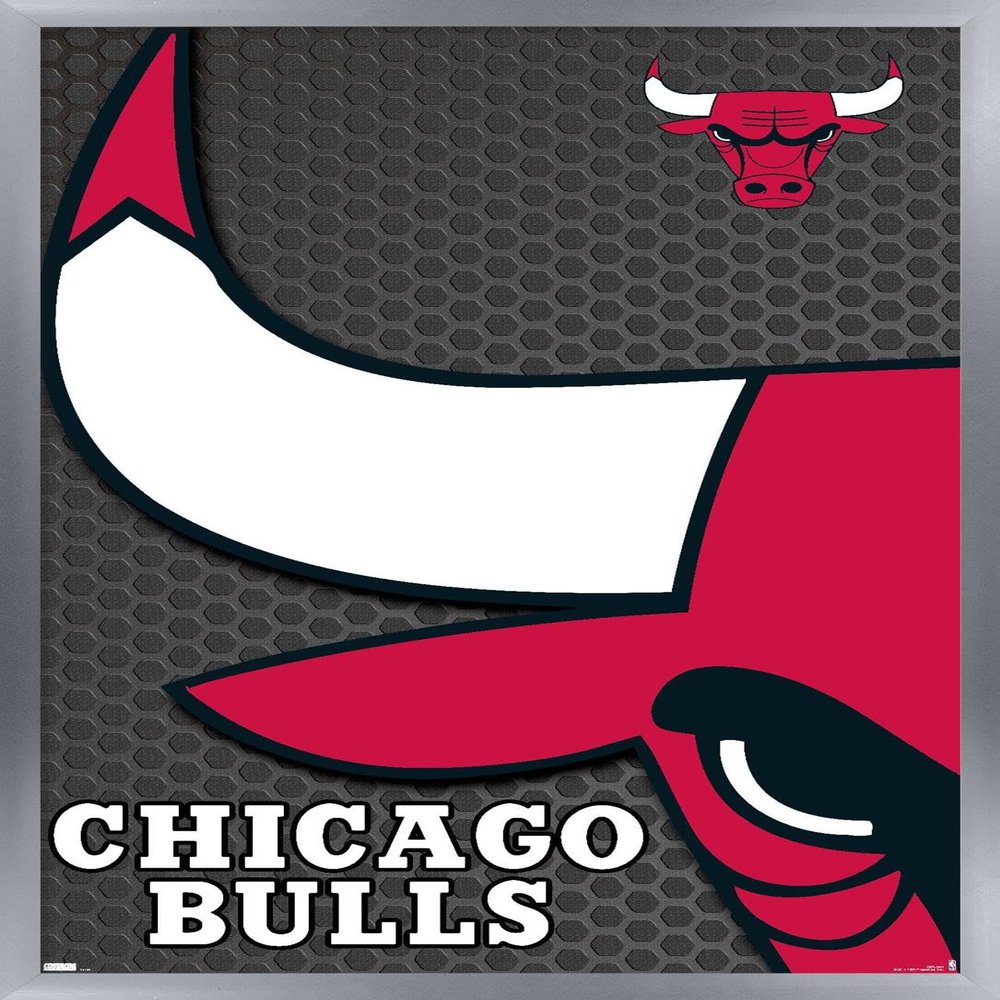 Trends International NBA Chicago Bulls - Logo 14 Wall Poster, 14.725" x 22.375", Silver Framed Version
