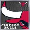 Trends International NBA Chicago Bulls - Logo 14 Wall Poster, 14.725" x 22.375", Silver Framed Version view 1