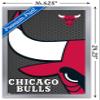 Trends International NBA Chicago Bulls - Logo 14 Wall Poster, 14.725" x 22.375", Silver Framed Version view 3