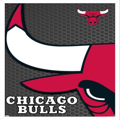 Trends International NBA Chicago Bulls - Logo 14 Wall Poster, 14.725" x 22.375", White Framed Version