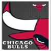 Trends International NBA Chicago Bulls - Logo 14 Wall Poster, 14.725" x 22.375", White Framed Version view 1
