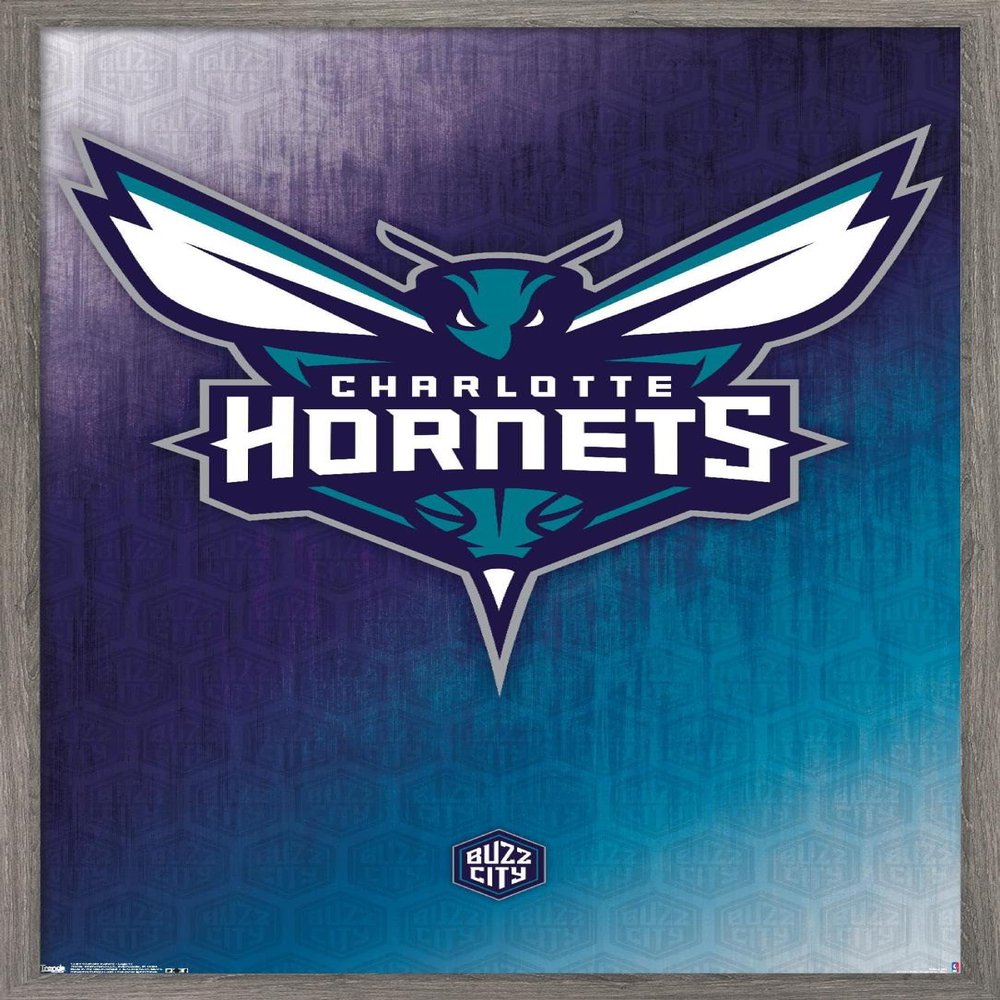 Trends International NBA Charlotte Hornets - Logo 14 Wall Poster, 14.725" x 22.375", Barnwood Framed Version