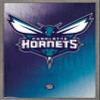Trends International NBA Charlotte Hornets - Logo 14 Wall Poster, 14.725" x 22.375", Barnwood Framed Version view 1