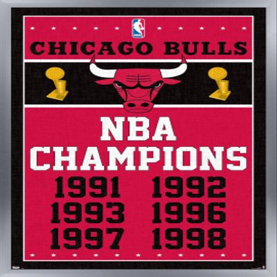 Trends International NBA Chicago Bulls - Champions 13 Wall Poster, 14.725" x 22.375", Silver Framed Version