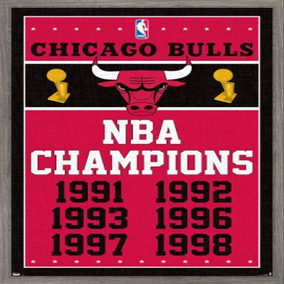 Trends International NBA Chicago Bulls - Champions 13 Wall Poster, 14.725" x 22.375", Barnwood Framed Version