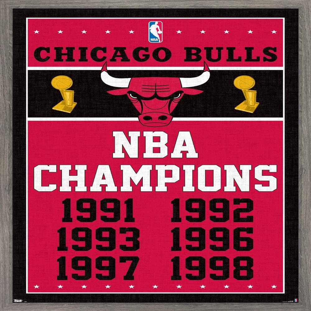 Trends International NBA Chicago Bulls - Champions 13 Wall Poster, 14.725" x 22.375", Barnwood Framed Version