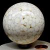 2.5" King Cobra Jasper Sphere Natural Multicolor Orbicular Orbs Mineral Ball Chalcedony Druzy Crystal Polished Gemstone - India + Stand view 4