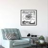 Komar Wall Picture Succulent Closeup Poster Picture Living Room Bedroom Decoration Art Print Without Frame P049C-50x70 Size 50 x 70 cm (Width x Height) view 4
