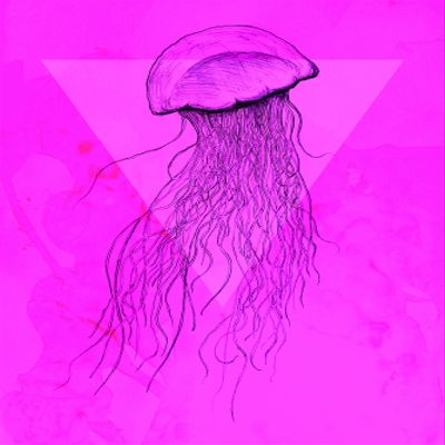 Komar Wall Picture Jellyfish Pink Poster Picture Living Room Bedroom Decoration Art Print Without Frame P078C-30x40 Size 30 x 40 cm (Width x Height)