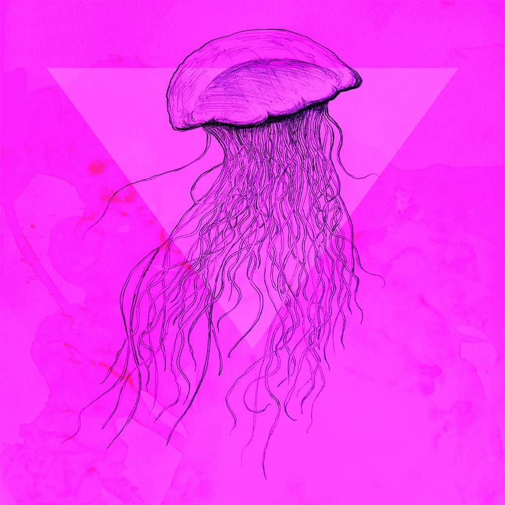 Komar Wall Picture Jellyfish Pink Poster Picture Living Room Bedroom Decoration Art Print Without Frame P078C-30x40 Size 30 x 40 cm (Width x Height)