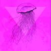 Komar Wall Picture Jellyfish Pink Poster Picture Living Room Bedroom Decoration Art Print Without Frame P078C-30x40 Size 30 x 40 cm (Width x Height) view 1