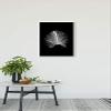 Komar Feather Black Wall Picture | Poster, Picture, Living Room, Bedroom, Decoration, Art Print | Without Frame | P121B-40x50 | Size: 40 x 50 cm (Width x Height) view 2