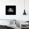 Komar Wall Picture Feather Black Poster Picture Living Room Bedroom Decoration Art Print Without Frame P121B-30x40 Size 30 x 40 cm (Width x Height) view 3