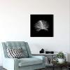 Komar Wall Picture Feather Black Poster Picture Living Room Bedroom Decoration Art Print Without Frame P121B-30x40 Size 30 x 40 cm (Width x Height) view 4