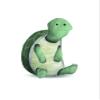 Komar Wall Picture Cute Animal Turtle Poster Picture Living Room Bedroom Decoration Art Print Without Frame P111B-40x50 Size 40 x 50 cm (Width x Height) view 1