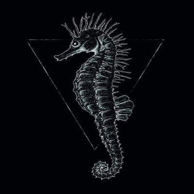 Komar Wall Picture Sea Horse Black | Poster, Picture, Living Room, Bedroom Decoration, Art Print | Without Frame | P079D-40x50 | Size: 40 x 50 cm (Width x Height)