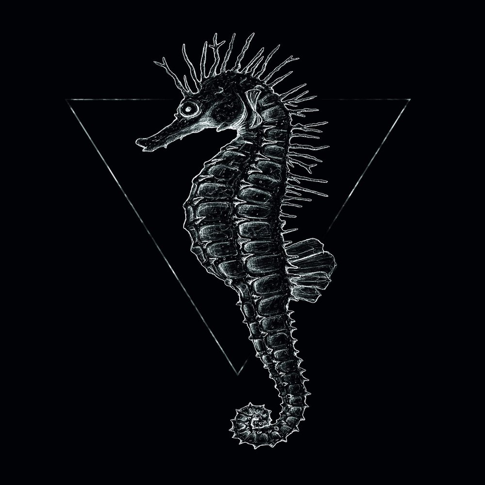 Komar Wall Picture Sea Horse Black | Poster, Picture, Living Room, Bedroom Decoration, Art Print | Without Frame | P079D-40x50 | Size: 40 x 50 cm (Width x Height)