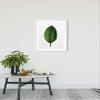 Komar Wandbild von Ficus Leaf | Poster, Bild, Wohnzimmer, Schlafzimmer, Dekoration, Kunstdruck | ohne Rahmen | P058-30x40 Wall Painting, 30 x 40 cm, Green, White view 2