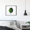 Komar Wandbild von Ficus Leaf | Poster, Bild, Wohnzimmer, Schlafzimmer, Dekoration, Kunstdruck | ohne Rahmen | P058-30x40 Wall Painting, 30 x 40 cm, Green, White view 3