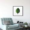Komar Wandbild von Ficus Leaf | Poster, Bild, Wohnzimmer, Schlafzimmer, Dekoration, Kunstdruck | ohne Rahmen | P058-30x40 Wall Painting, 30 x 40 cm, Green, White view 4