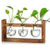 Kingbuy Glass Plant Terrarium with Retro Wood Stand 3 Bulbs Propagation Station, Indoor Garden Planter & Bulb Vase, Desktop Decor for Home Kitchen Wedding, Gift for Women and Plant Lovers view 1