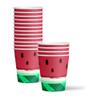 Watermelon Birthday Party Supplies Set Plates Napkins Cups Tableware Kit for 16 view 3