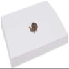 Thanksgiving Turkey Place Cards, Set of 150, Pre-cut and Scored - Wedding, Party, Dinner, and Special Events - Made in the USA view 4
