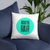 4EVERCOOL Regalo para hija, amiga, Prima | Almohada para Hermana | Regalo para Navidad, graduados, profesionales y estudiantes | Pillow view 1