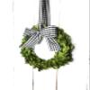 Small Mini Preserved Boxwood Wreath for Spring, Summer, Everyday w/Black & White Taffeta Gingham Check Ribbon & Bow for Farmhouse Home Decor, Farmhouse Style, Gift, Handmade, Choose 6 or 8 Inch view 3