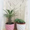 Boho Style Macrame Rope Woven Wood Shelf Tapestry Tassel Wall Floating Hanging Art Home Decor Handmade Craft view 4