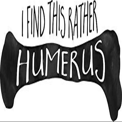 MAGNET I find This Rather Humerus - Pun Magnetic Car Sticker Decal Refrigerator Metal Magnet Vinyl 5"