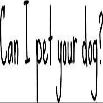 MAGNET Can I Pet Your Dog? Magnetic Car Sticker Decal Refrigerator Metal Magnet Vinyl 5"