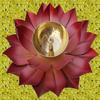 Brass Lotus Kuber Diya for Puja Home Dcor Brass Diya Deepak Oil Lamp Small Lotus Kamal Shape for Home Temple Puja Articles Decor Gifts Giting (6-Inch) view 4