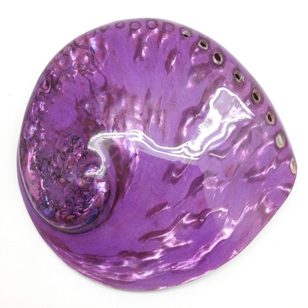 PEPPERLONELY 1 PC Polished Bright Violet Purple Midas Abalone Sea Shells for Home Decor and Display, 5-6 Inch Decorative Abalone Shell Wedding Occasion