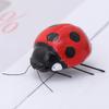 NUOBESTY Ladybug Refrigerator Magnets Decorative Fridge Magnets for Office Kitchen 5 Pcs view 2