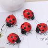 NUOBESTY Ladybug Refrigerator Magnets Decorative Fridge Magnets for Office Kitchen 5 Pcs view 3