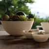 Guzzini Tierra 11.8" Extra Large Bowl - Taupe - 100% Recycled Plastic - Unbreakable, Reusable, BPA-Free, Cereal, Soup, Fruits - Mixing Bowl for Storage, Pantry & Kitchen view 4