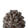 A & B Home 77341 10.6" W Gray and Light Brown Polyresin Indoor Pine Cone Statue, Table Dcor, Natural Design Sculpture, Grey view 2